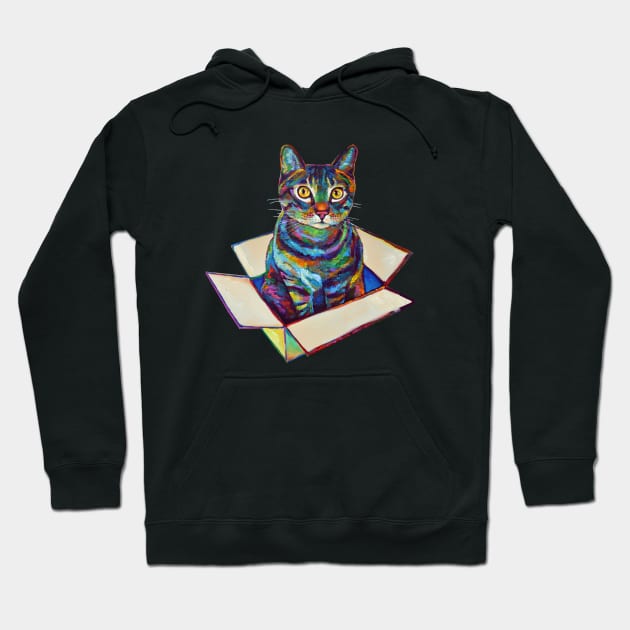 Arwen the Cosmic Cat in a Box by Robert Phelps Hoodie by RobertPhelpsArt